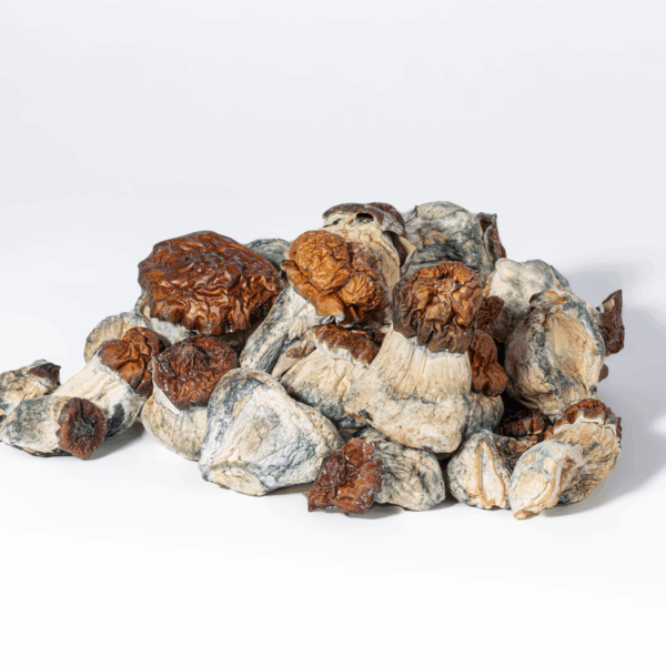 B+ Mushrooms