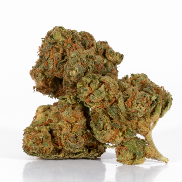 Maui Mango Diesel (AA)