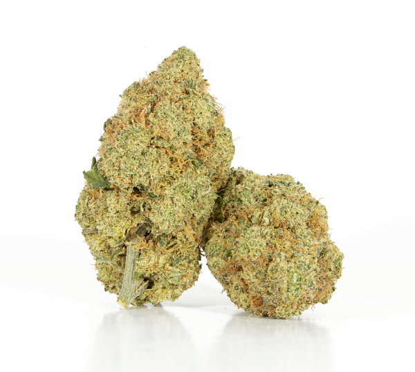 Rocket Fuel (AAA+)