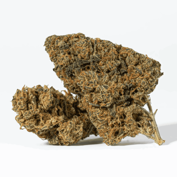 Flap Jack (AA)
