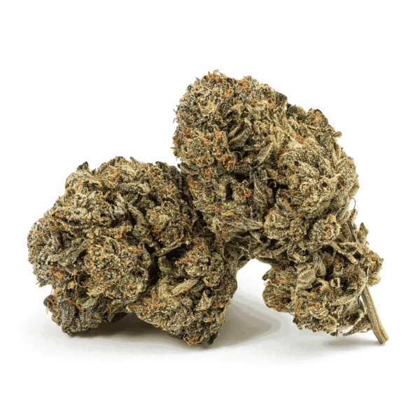 Dank Schrader (AAAA)