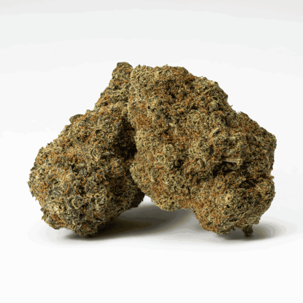 Papaya (AAA)