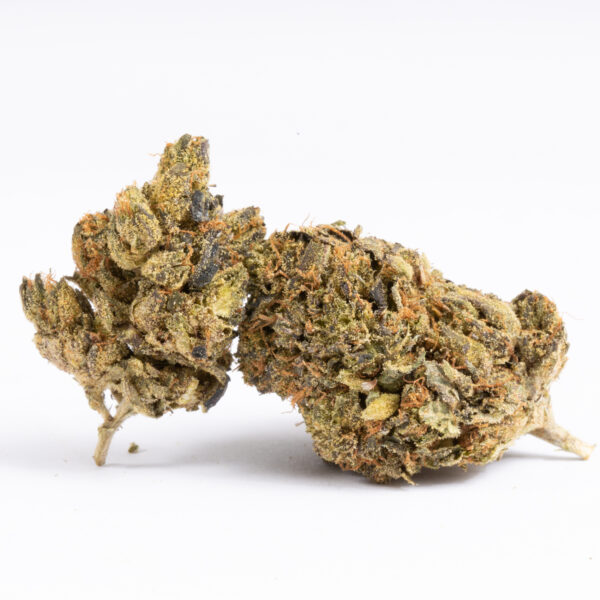 Ghost Bubba (AAA)