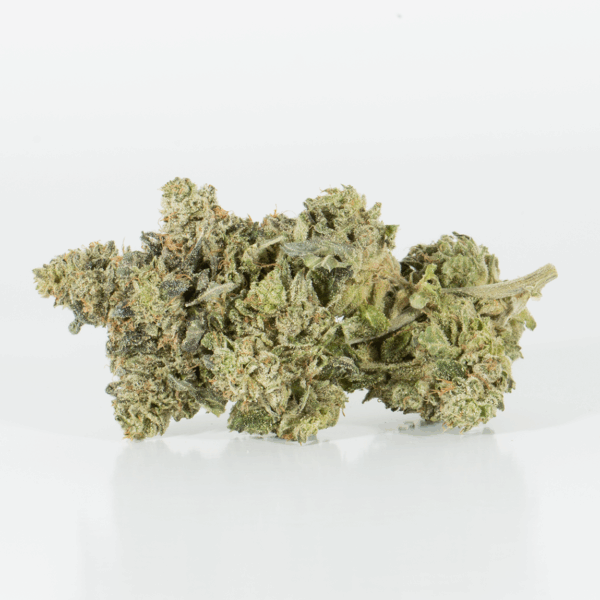 Northern Lights (AAA)