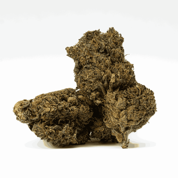 Black Jesus (AAA+)