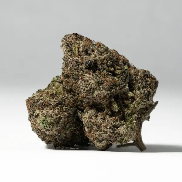 9LB Hammer (AAAA)