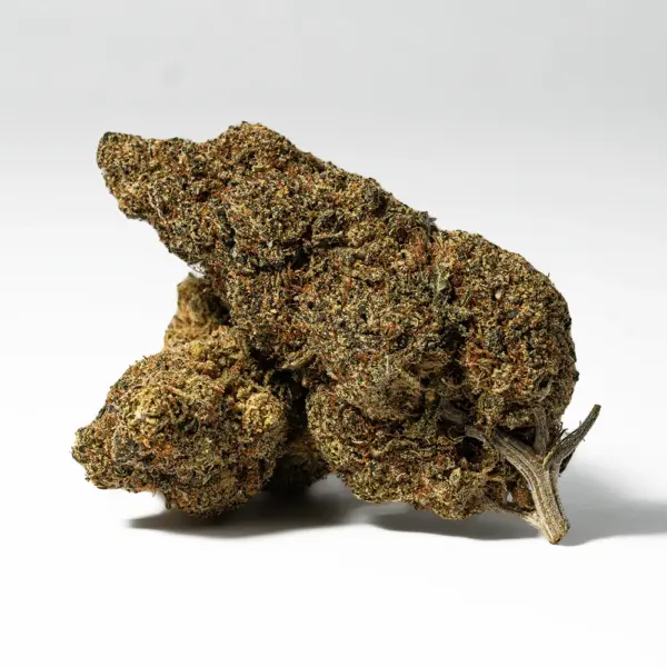 Ghost Dawg (AA+)