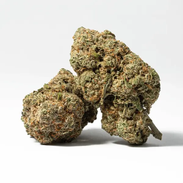 Harlequin (AAA)