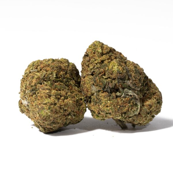 Purple Rain (AA)